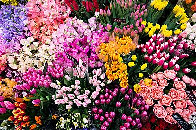 《猫咖经理》新预告片 4月14日发售支持简中